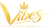 vibes logo